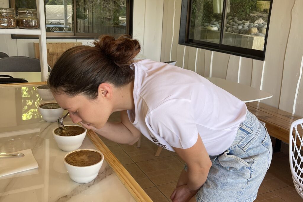 Cupping